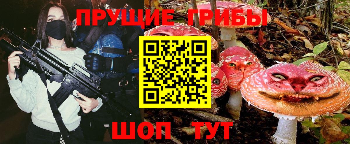 Псилоцибиновые грибы мицелий Самара