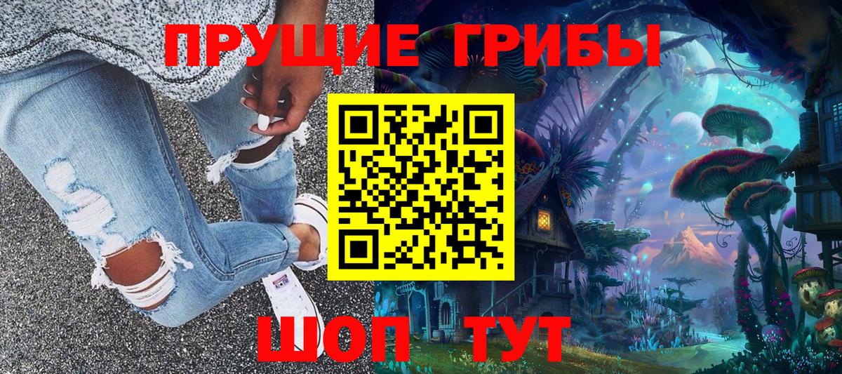 Галлюциногенные грибы Magic Shrooms  Вход с VPN  Самара  где можно купить наркотик  Галлюциногенные грибы Psilocybe 