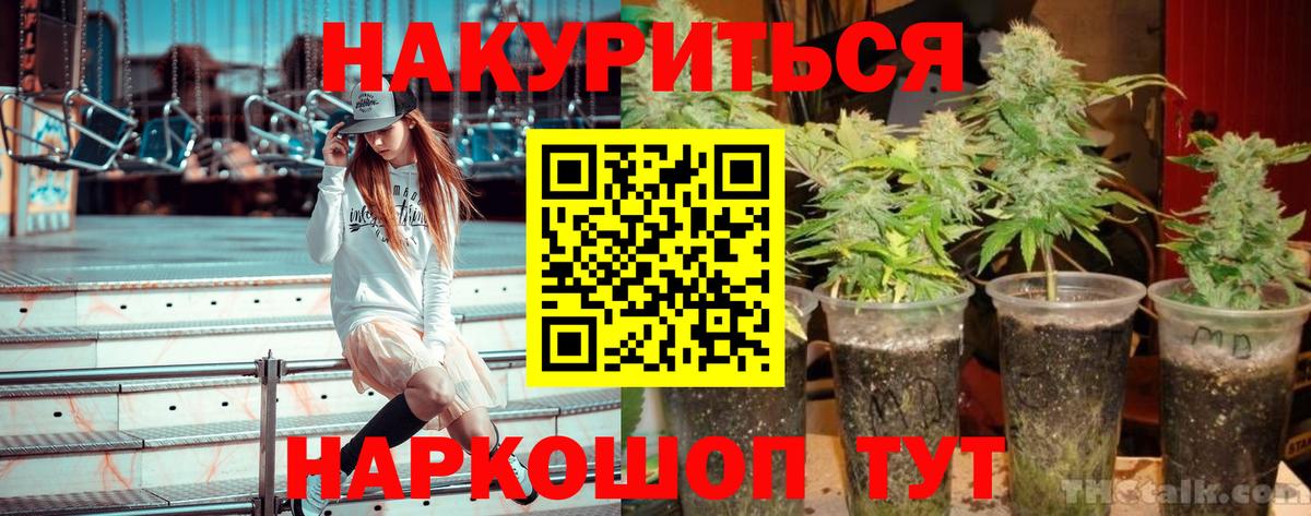 Канабис White Widow  Каннабис ГИДРОПОН  Самара  Вход с VPN 